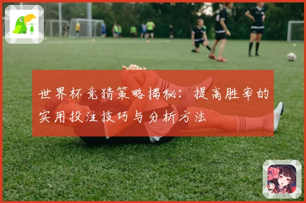 世界杯竞猜策略揭秘：提高胜率的实用投注技巧与分析方法