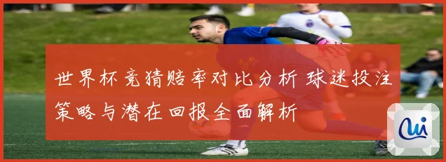 世界杯竞猜赔率对比分析 球迷投注策略与潜在回报全面解析