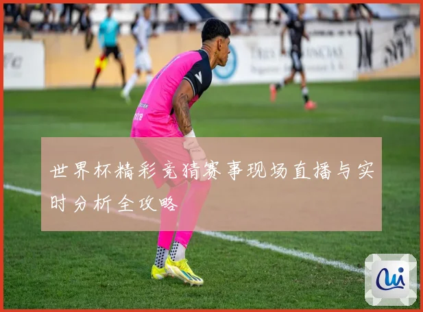 世界杯精彩竞猜赛事现场直播与实时分析全攻略
