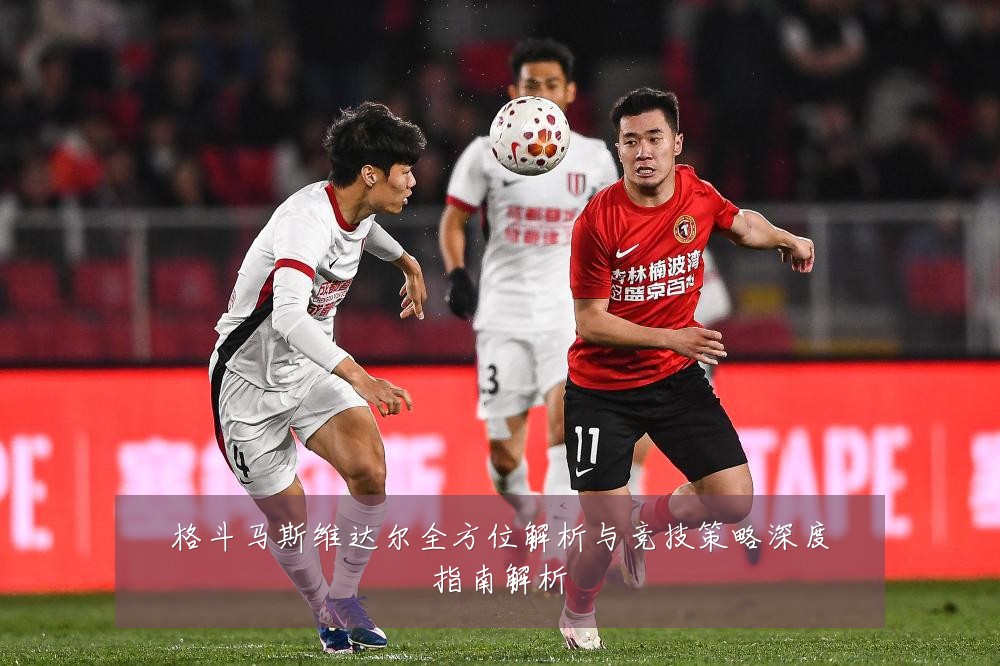 格斗马斯维达尔全方位解析与竞技策略深度指南解析